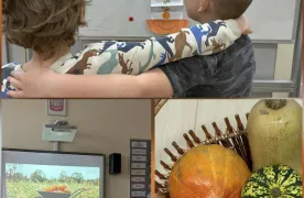 Kolaż zdjęć z dnia dyni