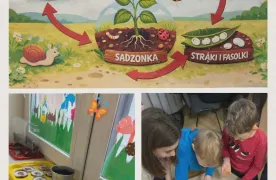 Plansza przedstawiająca cykl rozwoju fasoli oraz dzieci sadzące rośliny