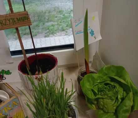 OGÓLNOPOLSKA AKCJA SIANIA NASIONEK CZYTELNICTWA