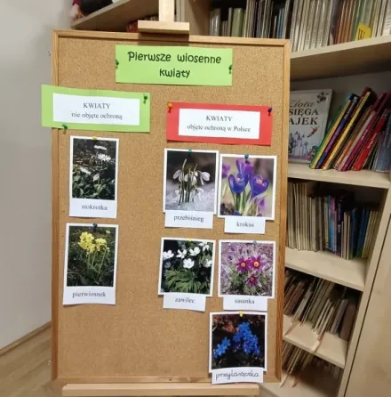 zajęcia czytelnicze