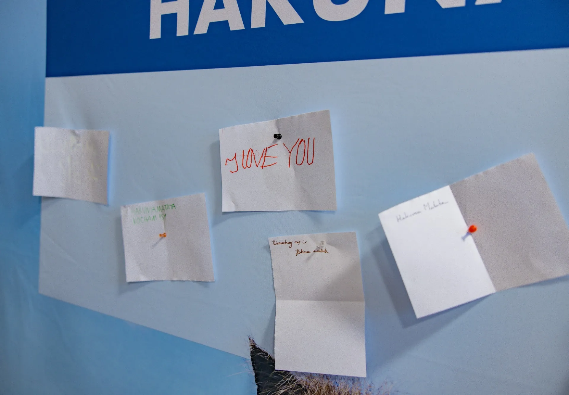 Wspomnienia ze spotkania z pracownikami Fundacji Kultura Bez Barier oraz Disney Polska