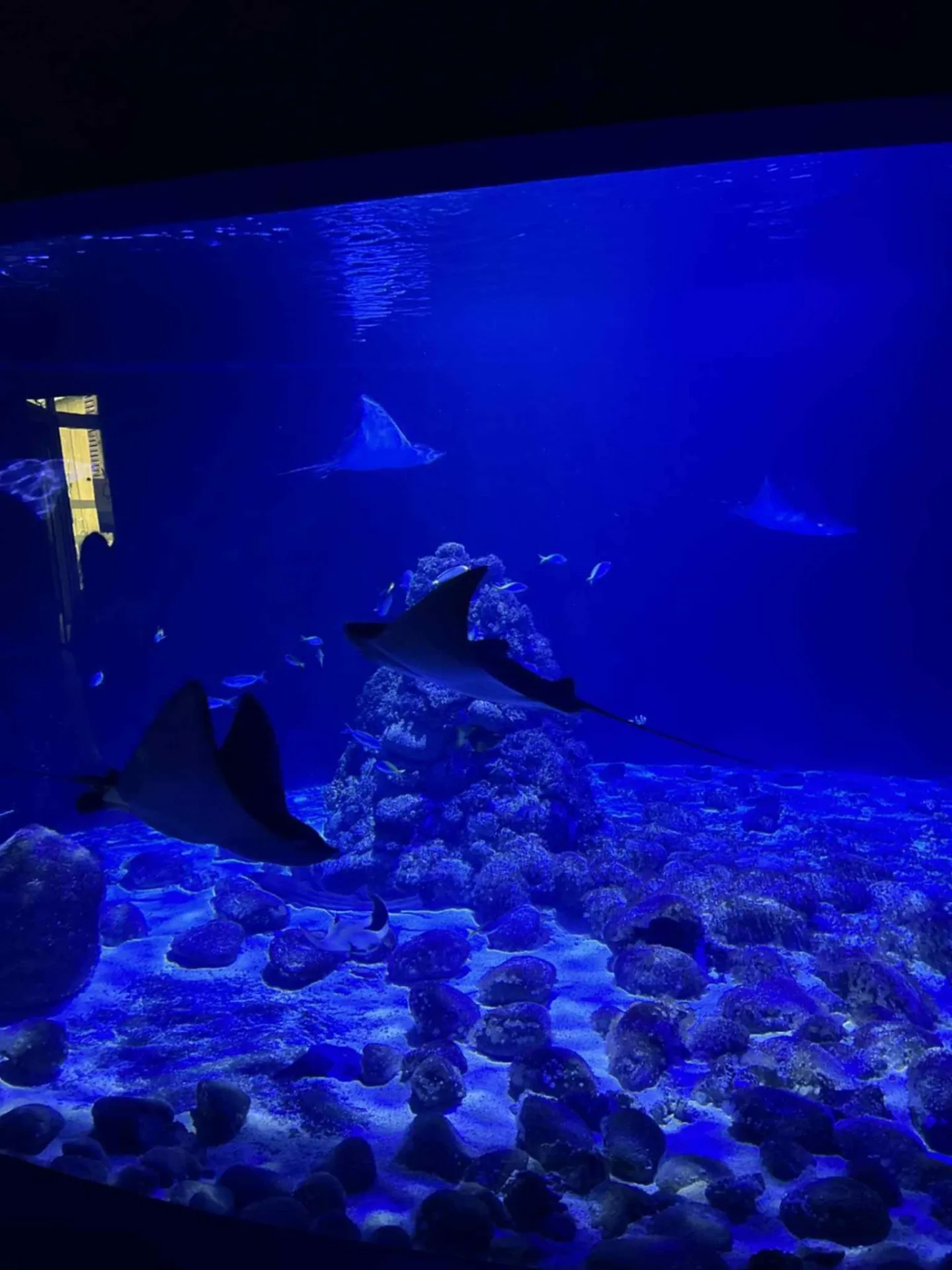 Nasza wielka przygoda w Warszawskim ZOO!