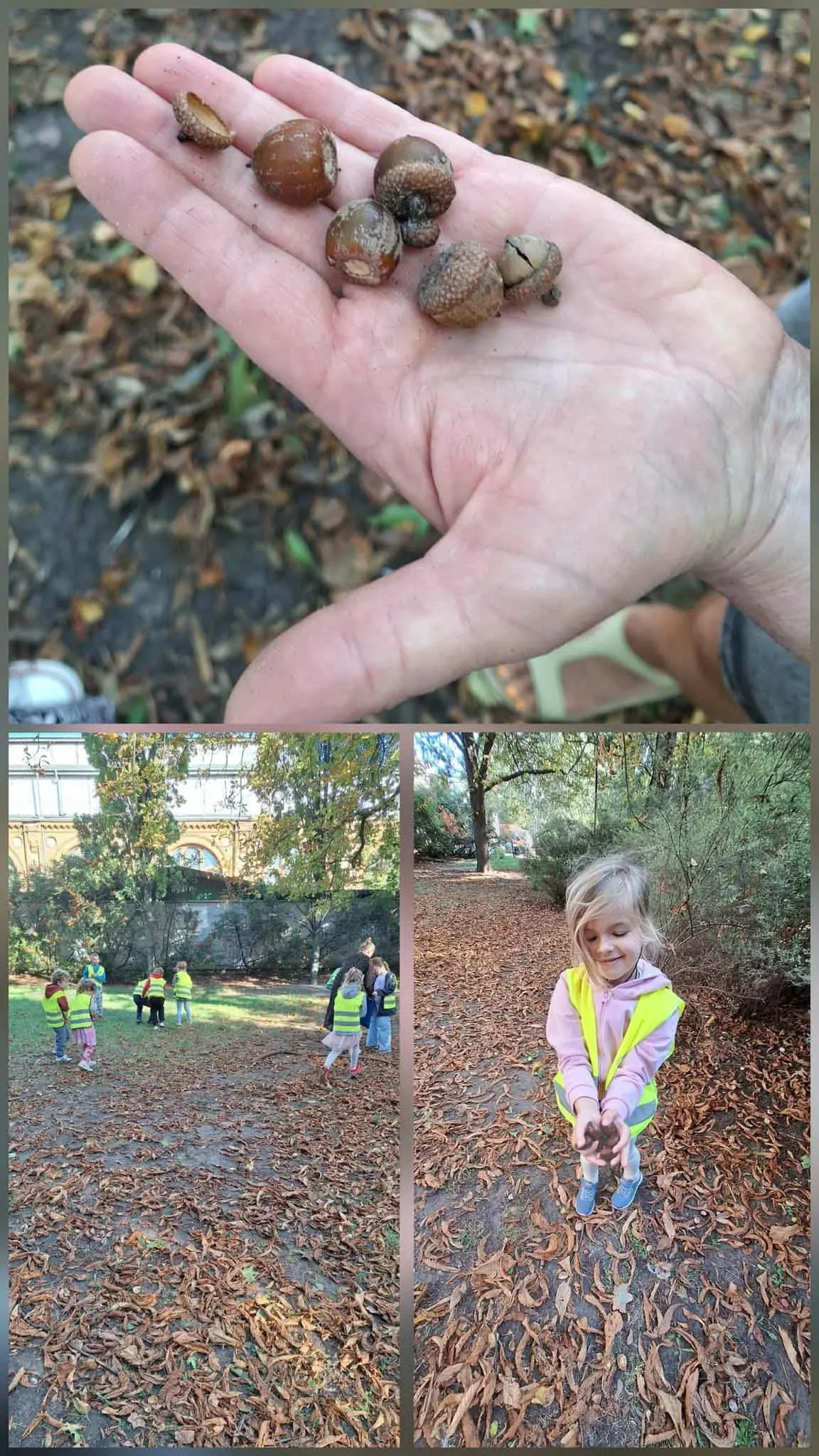 Dary jesieny na dłoni