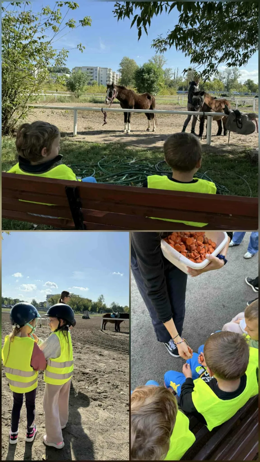 Kolaż zdjęć przedszkolaków karmiących i podziwiających konie