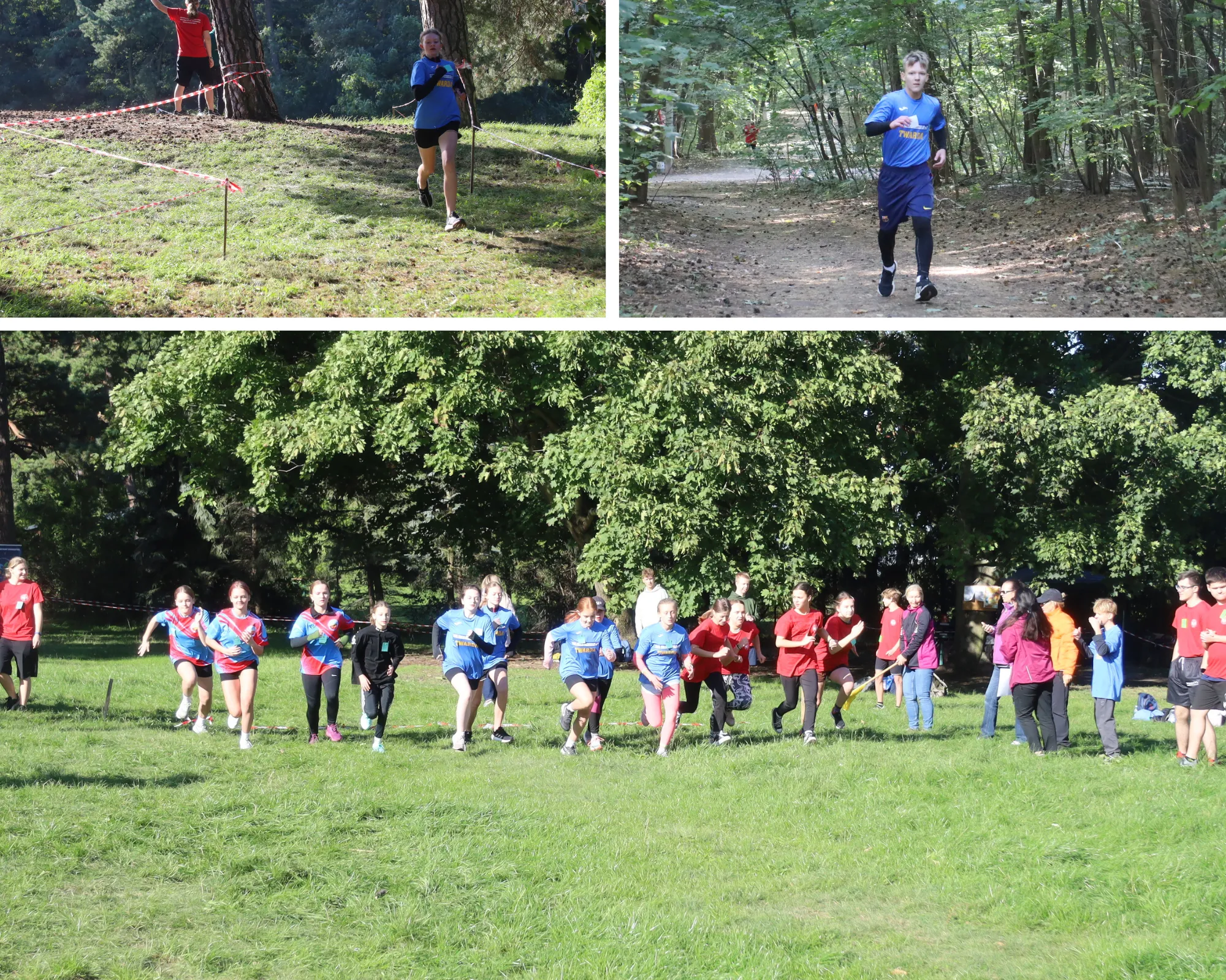 Kolaż zdjęć z biegów przełajowych