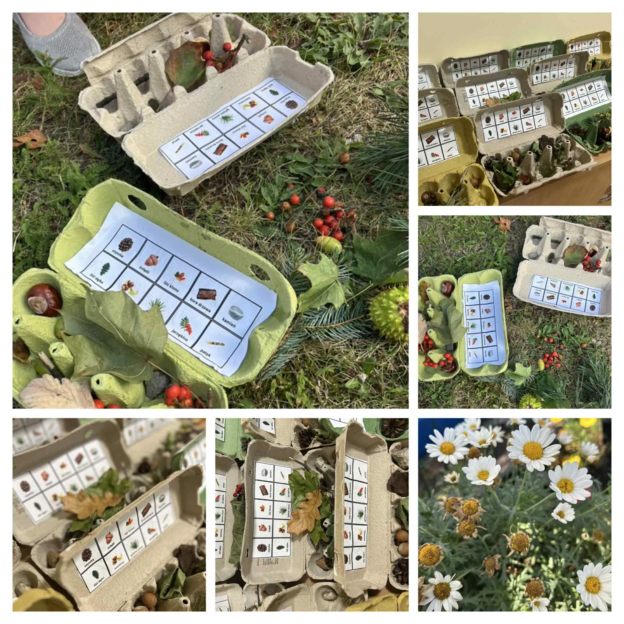 Dary jesieni w opakowaniach po jajkach