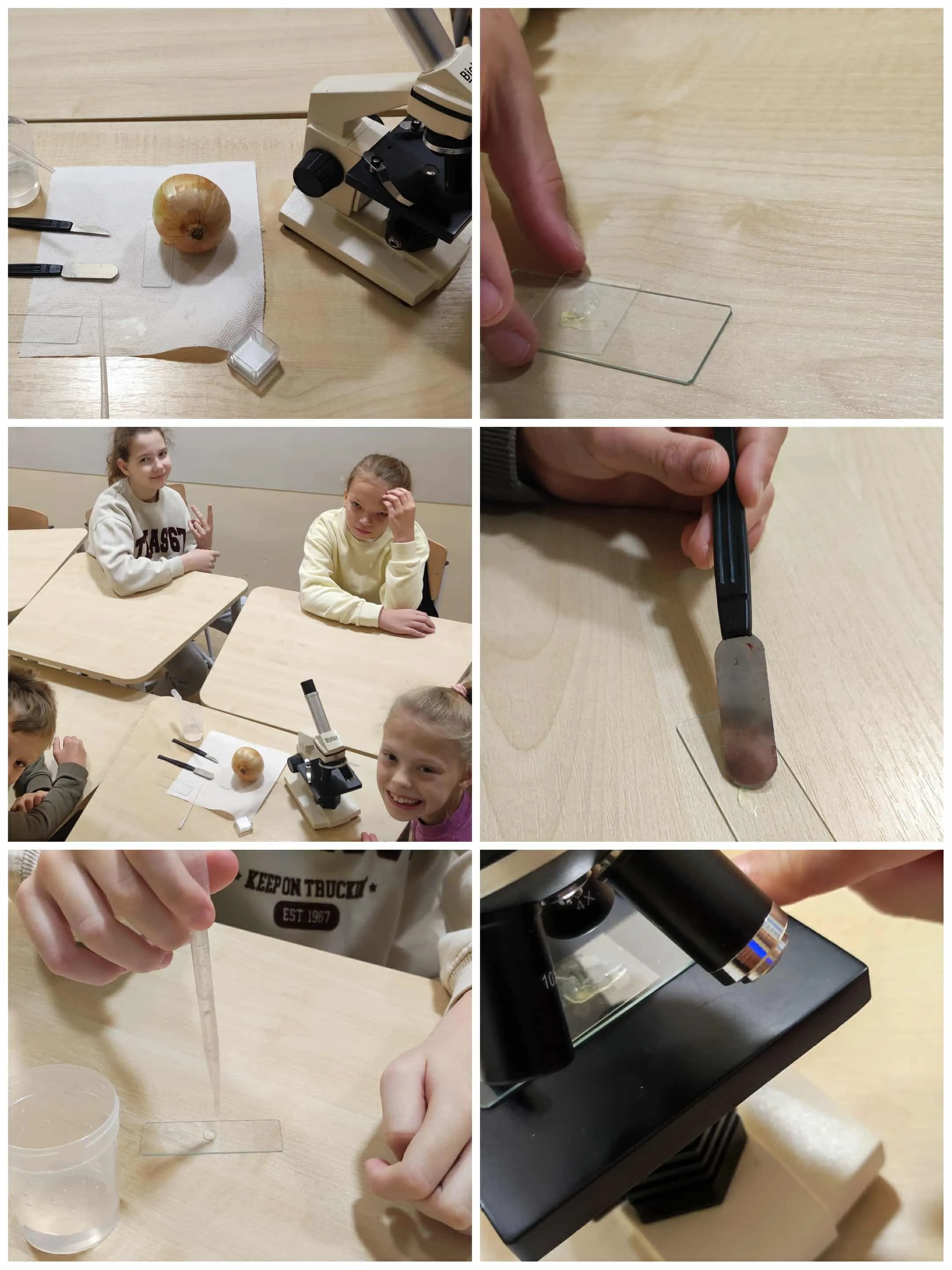 zajęcia z mikroskopem