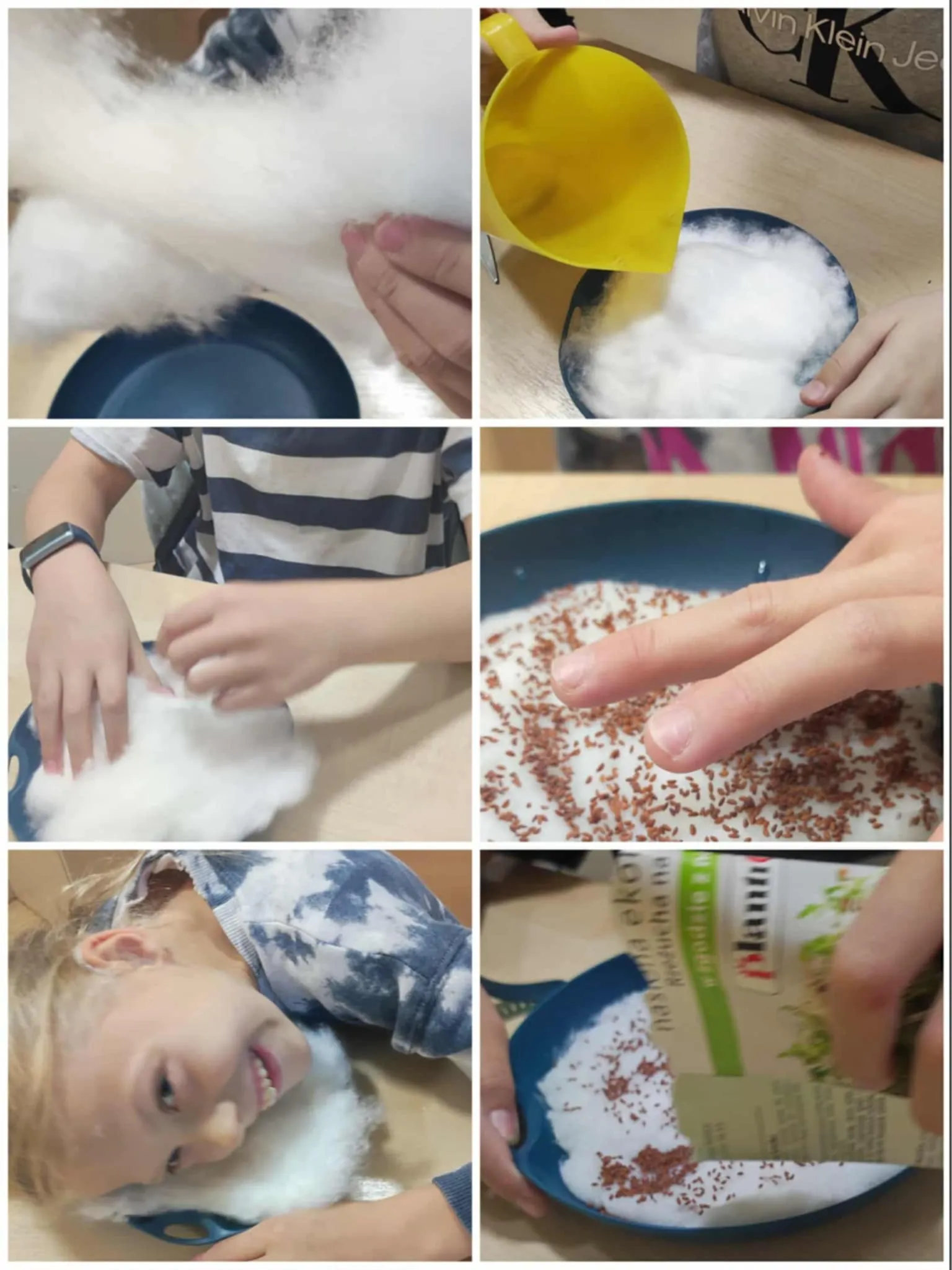 Kolaż zdjęć z siania rzeżuchy