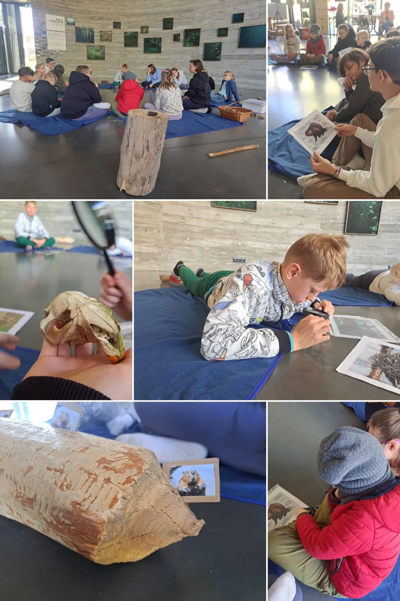 Kolaż zdjęć uczniów z warsztatów