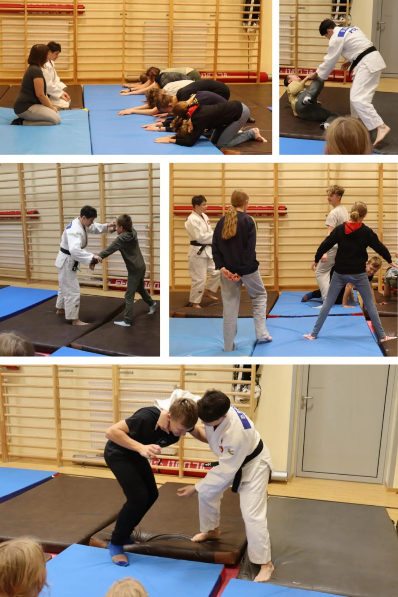 Kolaż zdjęć z zajęć judo
