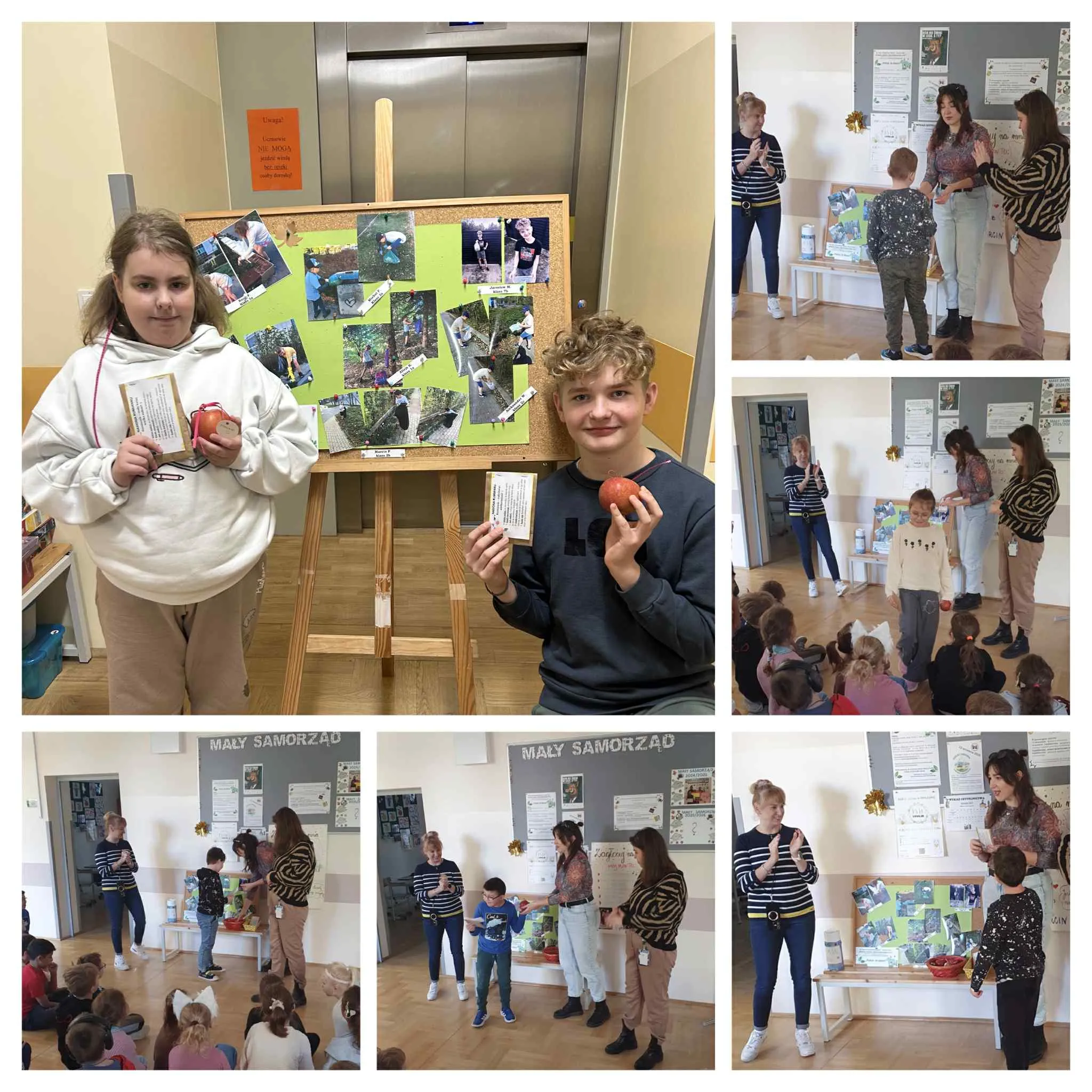 Kolaż zdjęć zwycięzców konkursu