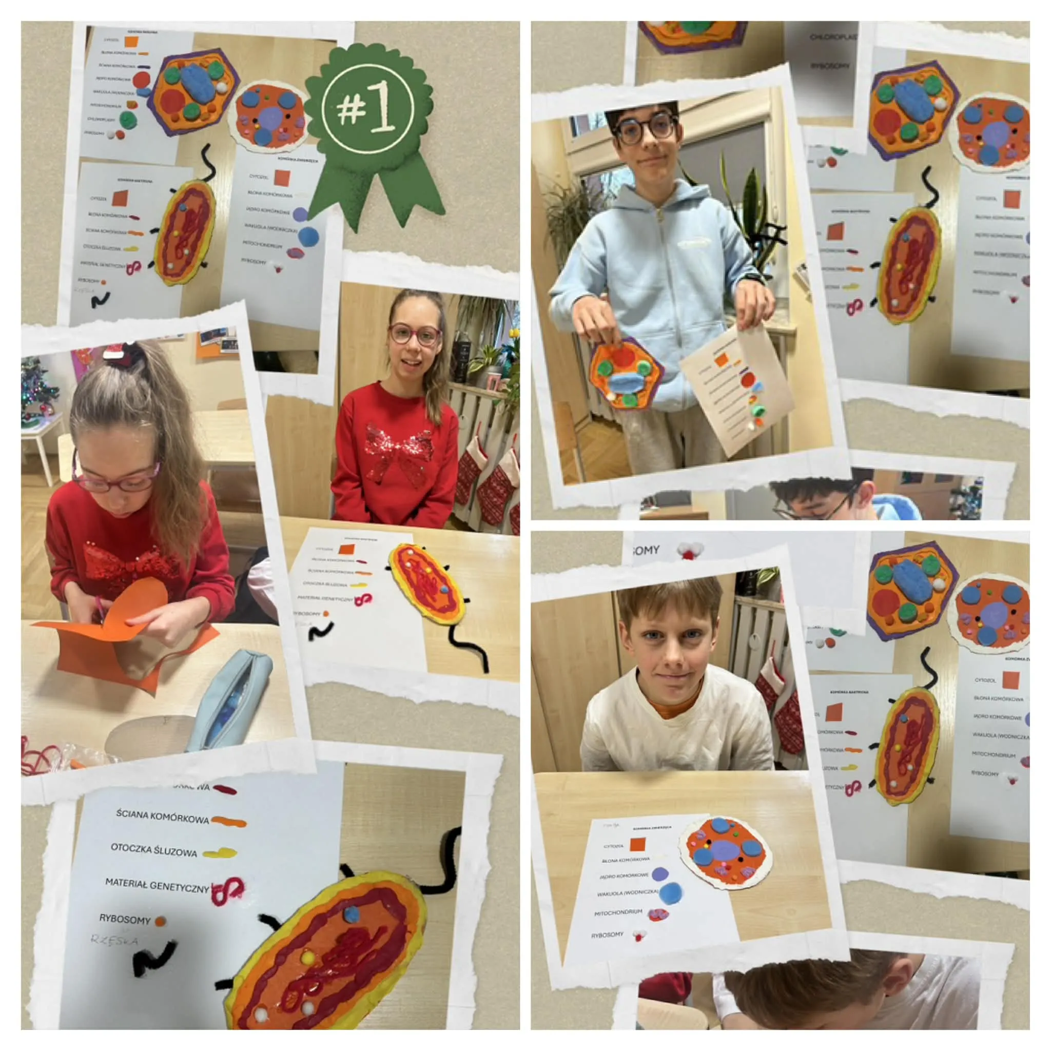 Kolaż zdjęć przedstawia uczniów podczas wykonywania przestrzennych modeli komórek roślinnych, zwierzęcych i bakteryjnych z papieru i plasteliny. Widoczne są etapy pracy oraz gotowe modele z opisanymi elementami budowy komórki.