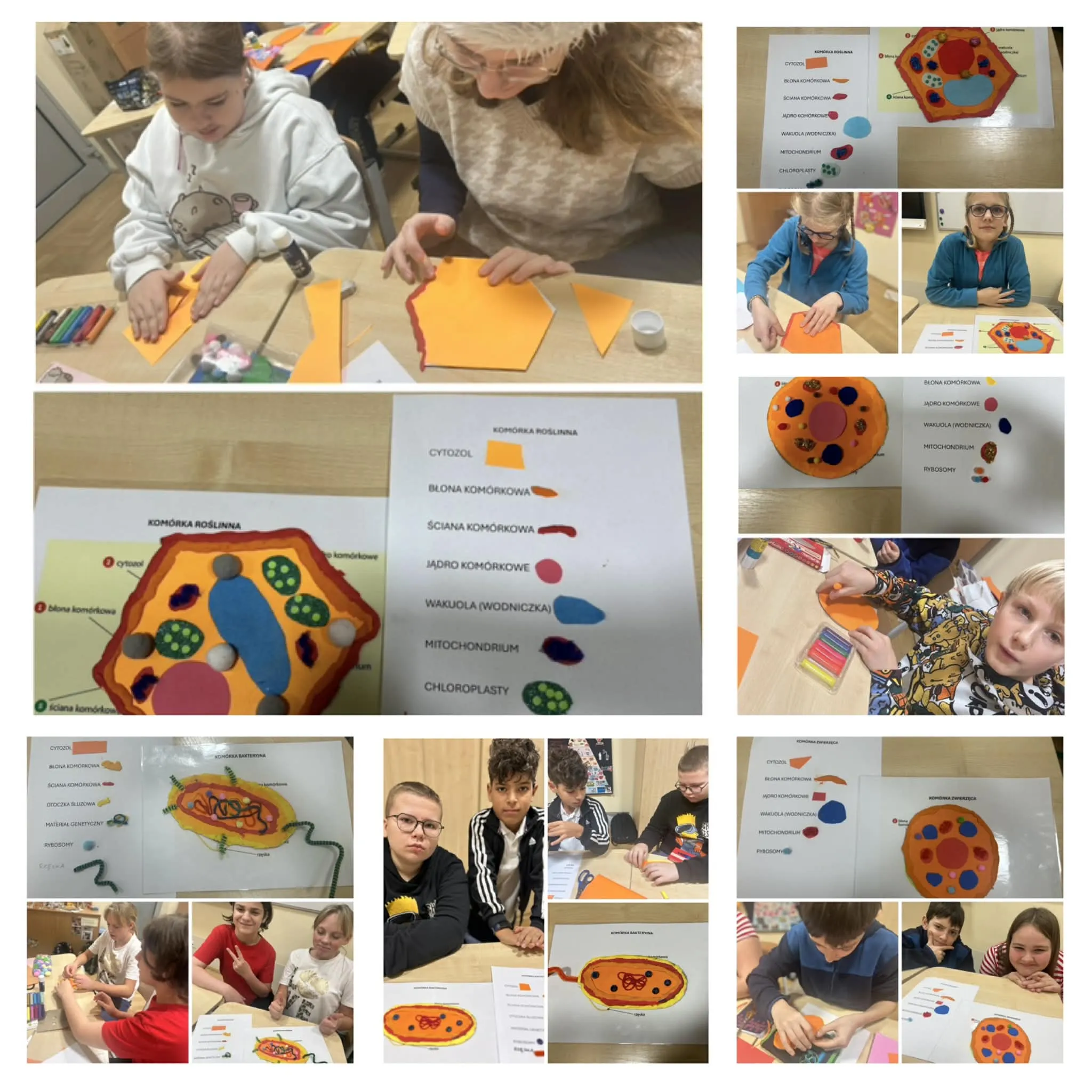 Kolaż zdjęć przedstawia uczniów podczas wykonywania przestrzennych modeli komórek roślinnych, zwierzęcych i bakteryjnych z papieru i plasteliny. Widoczne są etapy pracy oraz gotowe modele z opisanymi elementami budowy komórki.