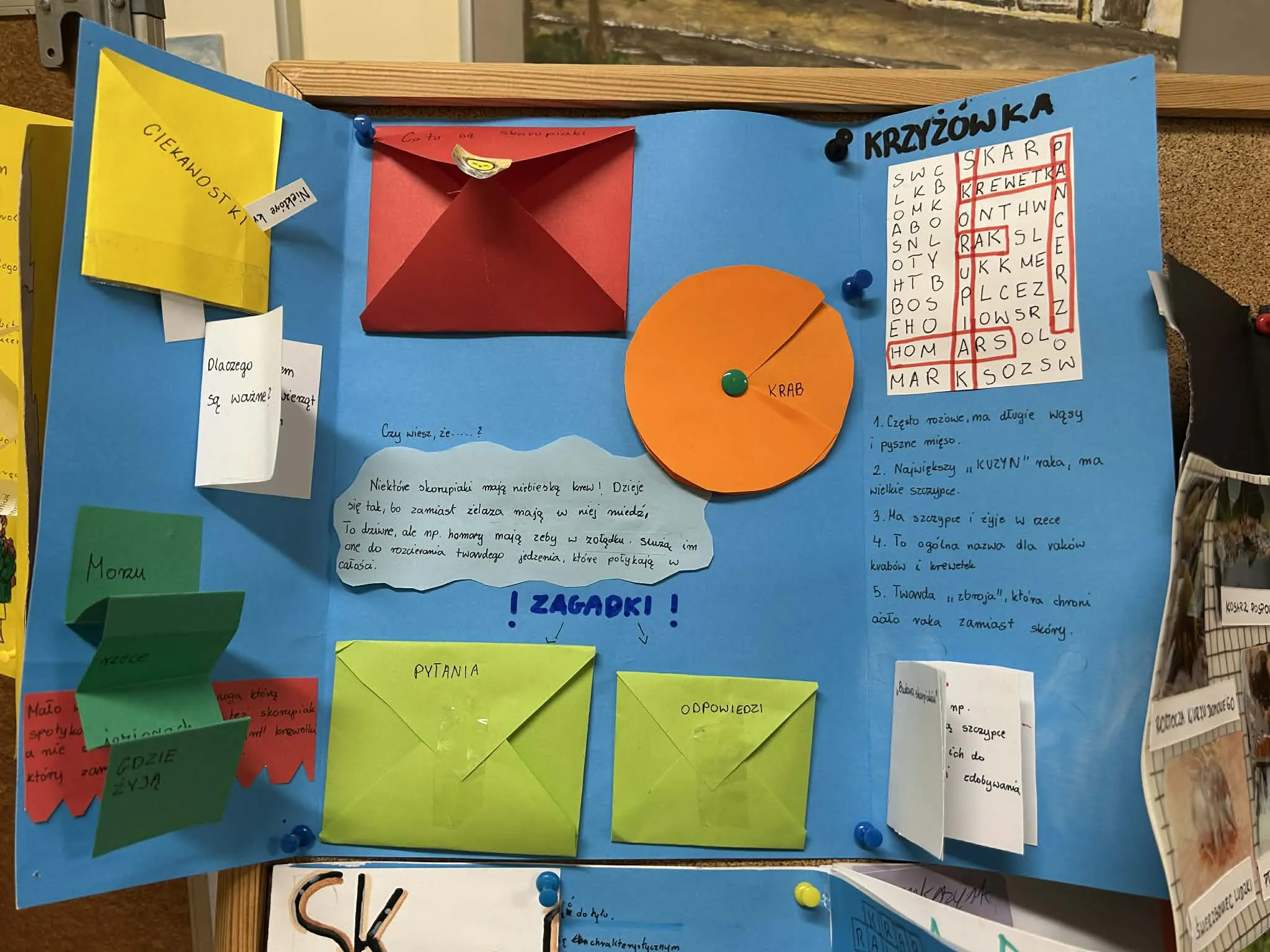 Tablica szkolna pełna kolorowych projektów uczniów o owadach i stawonogach