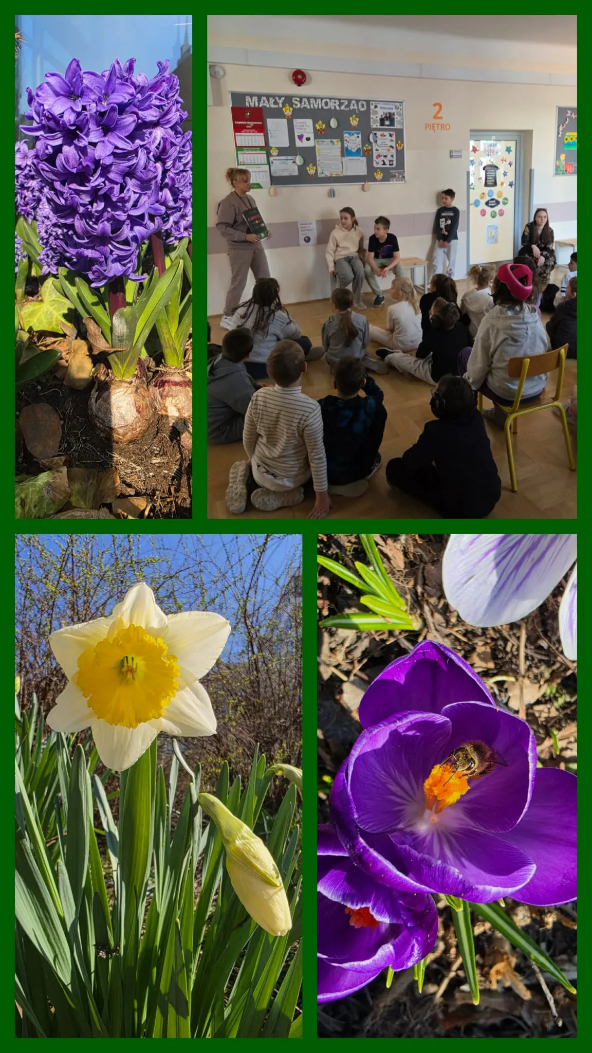 Kolaż zdjęć przedstawiający wiosenne kwiaty oraz uczniów podczas zajęć szkolnych