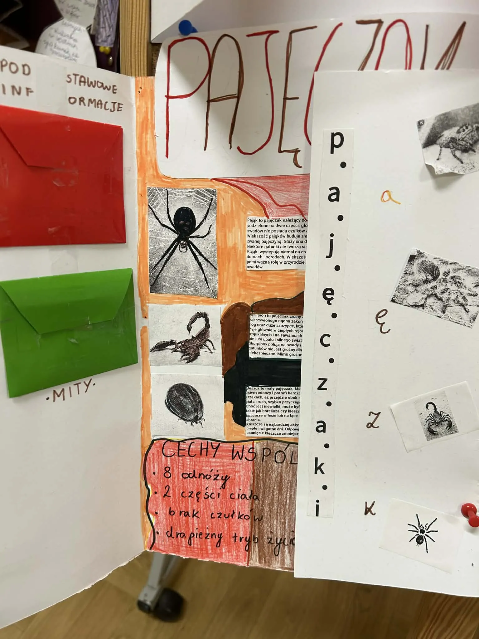 Interaktywna plansza edukacyjna z krzyżówką i pytaniami o skorupiaki