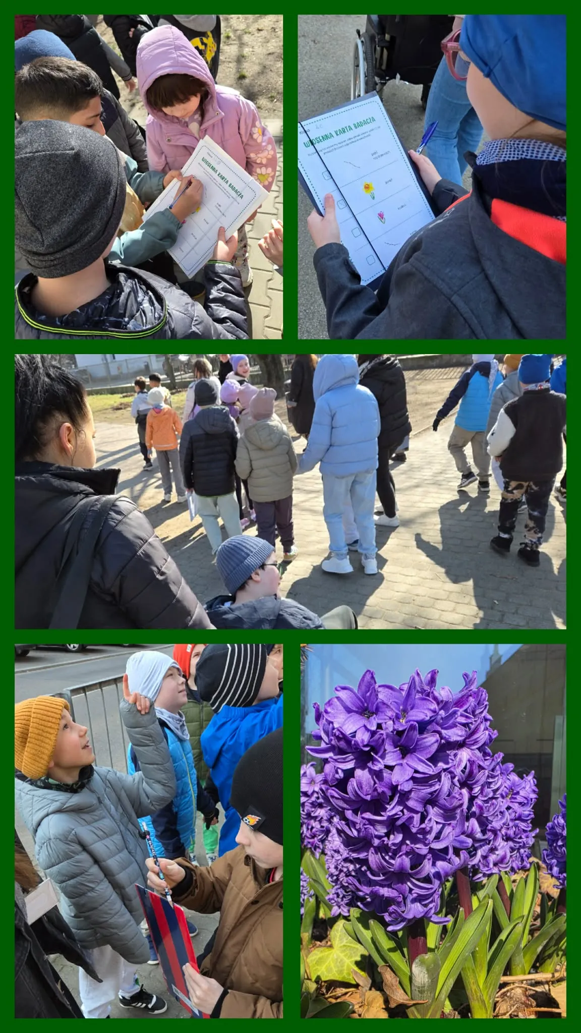 Uczniowie podczas spaceru obserwują przyrodę i uzupełniają karty pracy