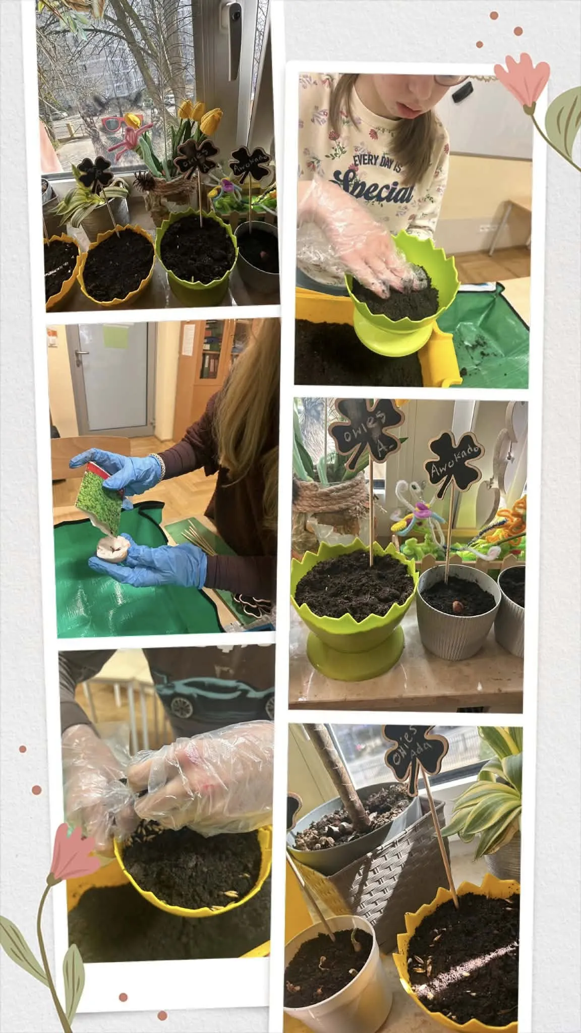 kolaż zdjęć z zajęć klasy z sadzenia roślin