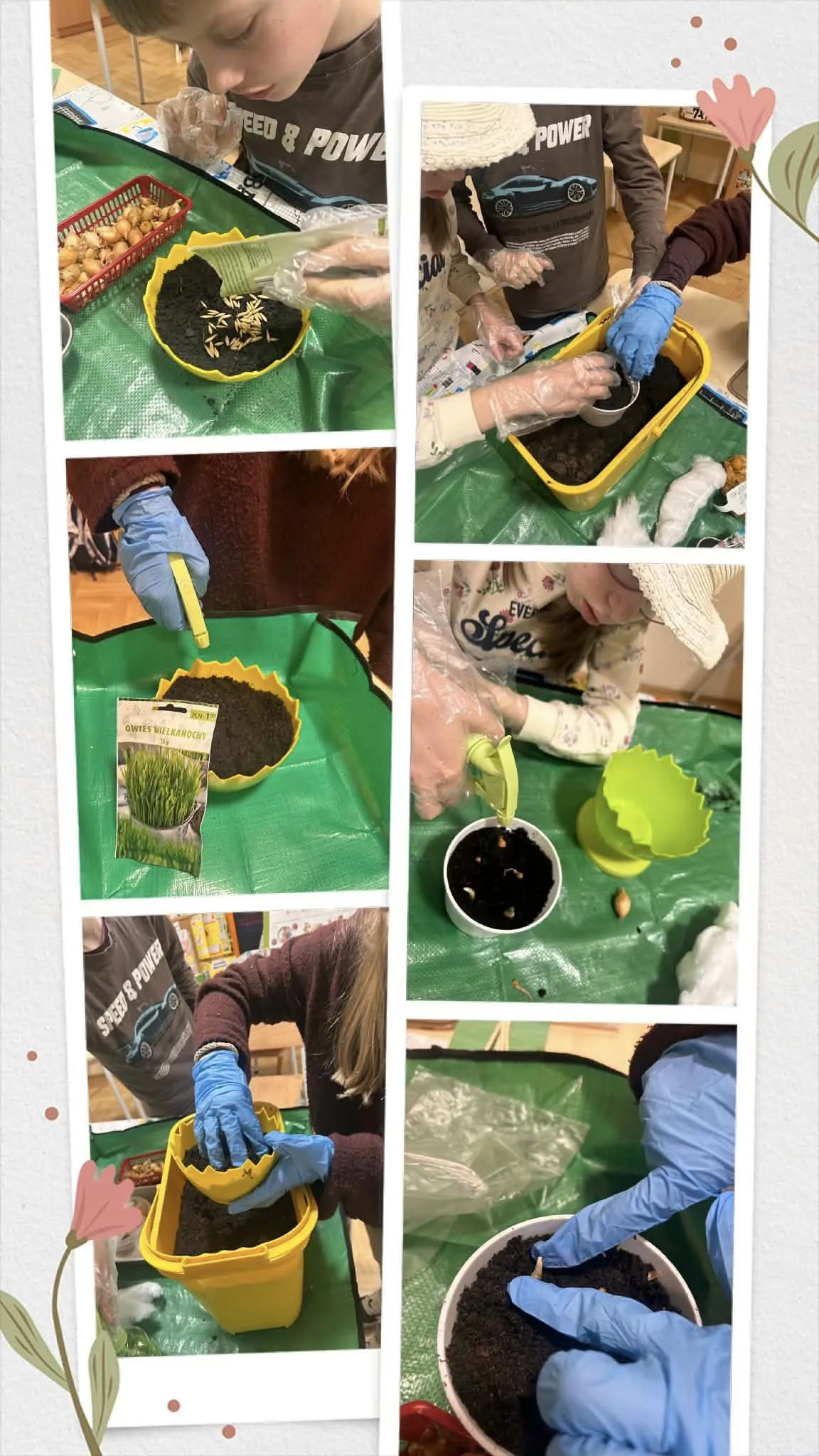 kolaż zdjęć z zajęć klasy z sadzenia roślin