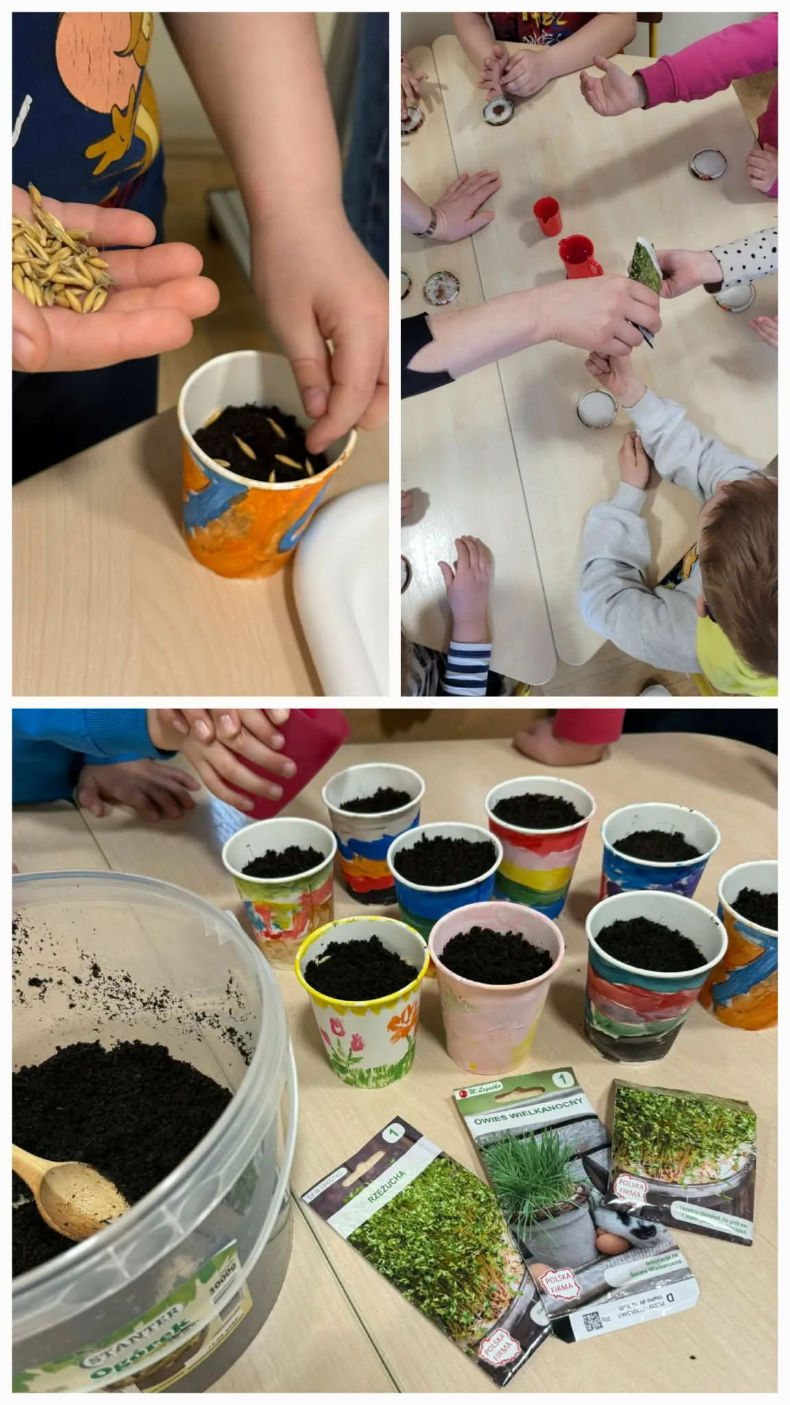 Dzieci sadzą nasiona w kubeczkach z ziemią podczas zajęć przyrodniczych
