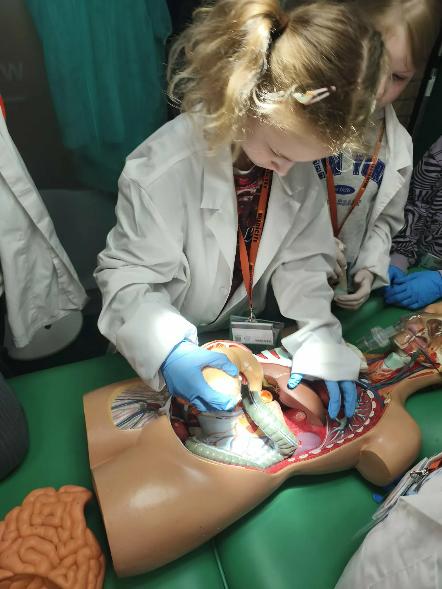 Uczennica w fartuchu ochronnym poznaje budowę ludzkiego ciała na modelu anatomicznym