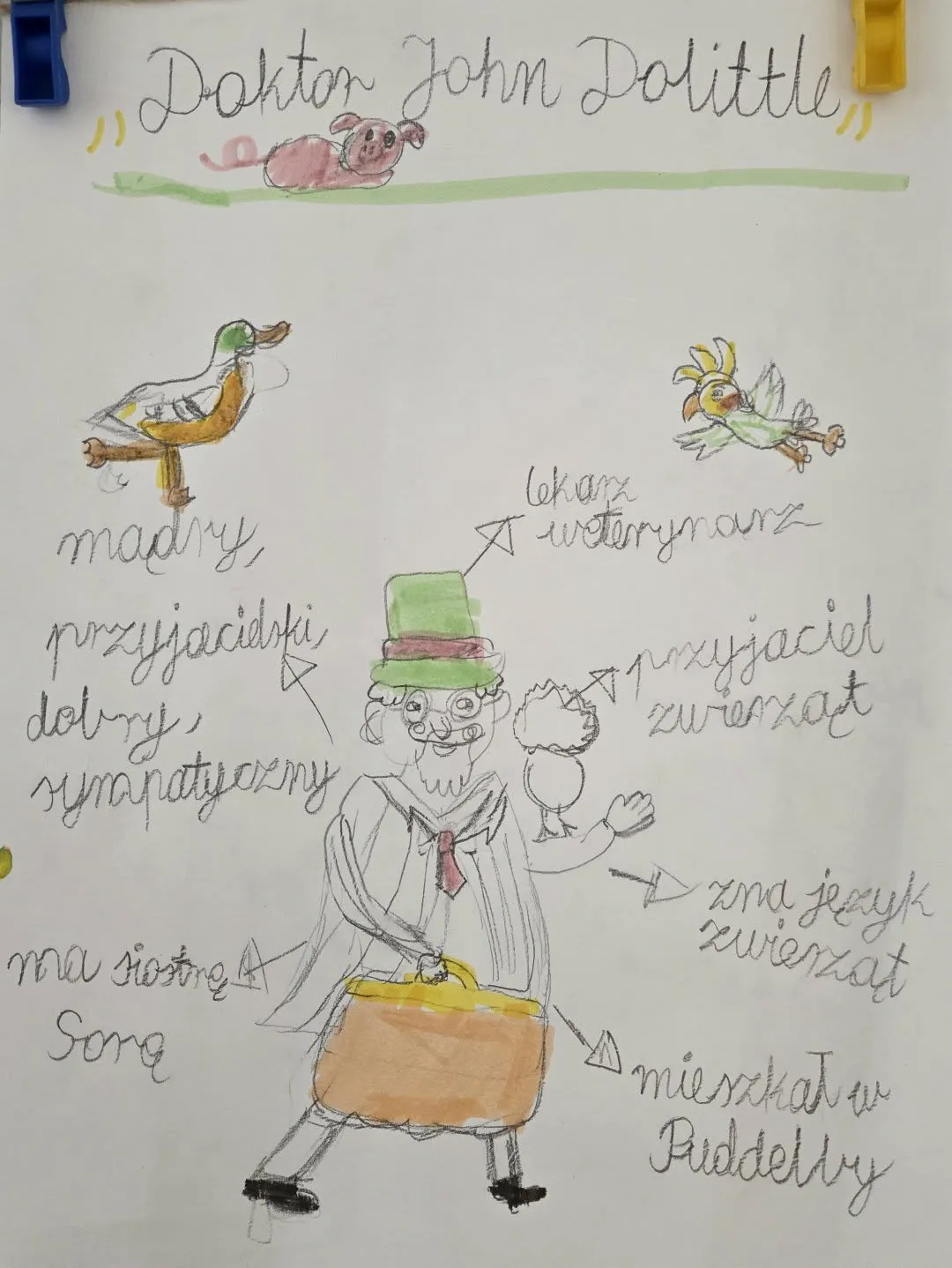 Rysunek Doktora Dolittle z opisem jego cech i umiejętności