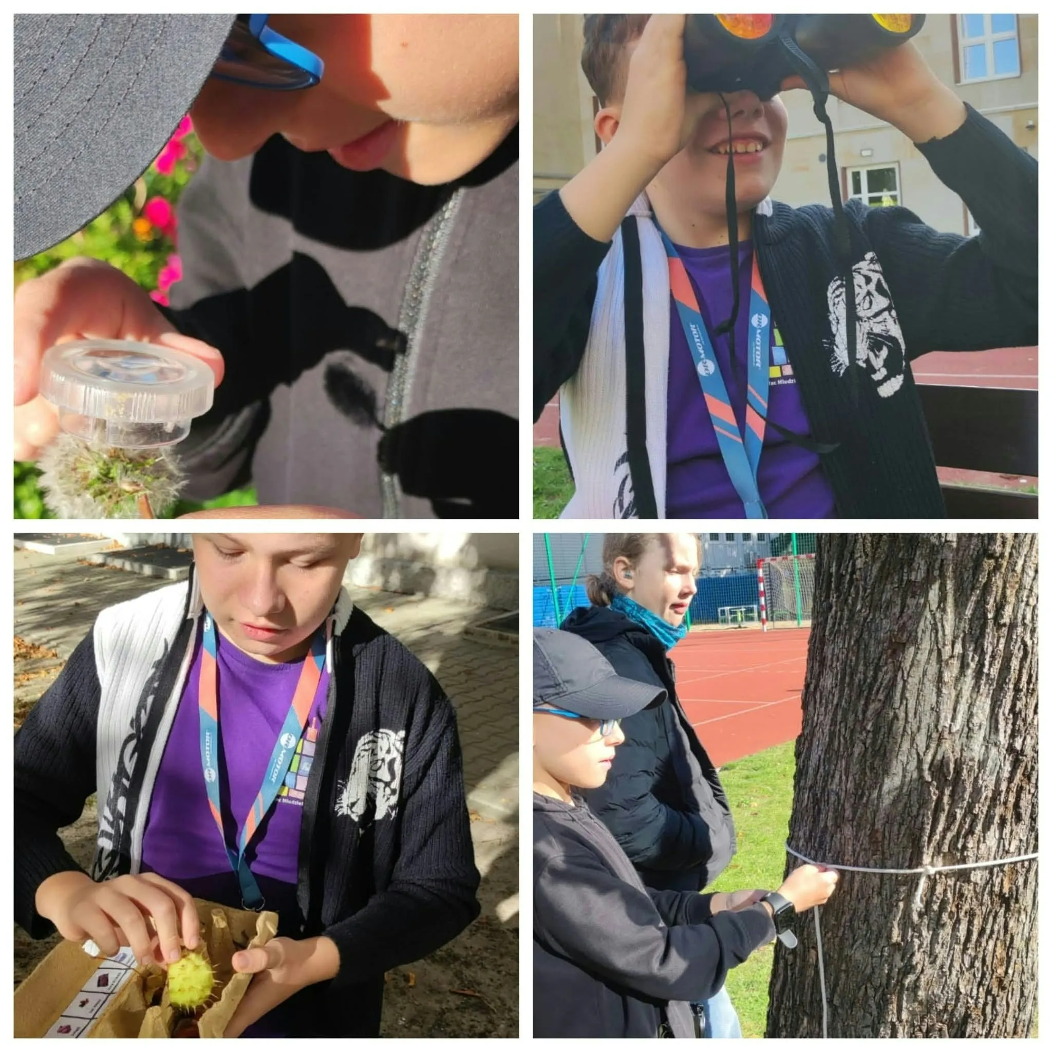 Uczniowie obserwują rośliny przez lupy i lornetki, badają kasztany oraz mierzą obwód pnia drzewa.