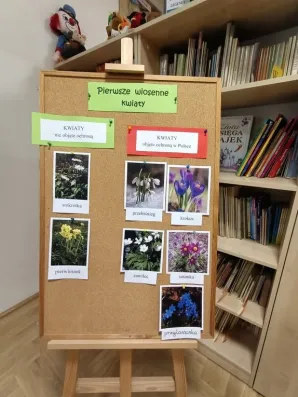 zajęcia czytelnicze