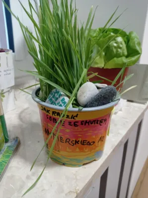 OGÓLNOPOLSKA AKCJA SIANIA NASIONEK CZYTELNICTWA