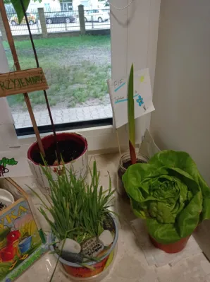 OGÓLNOPOLSKA AKCJA SIANIA NASIONEK CZYTELNICTWA