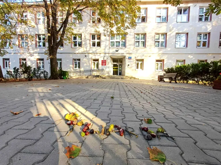 Front budynku szkoły